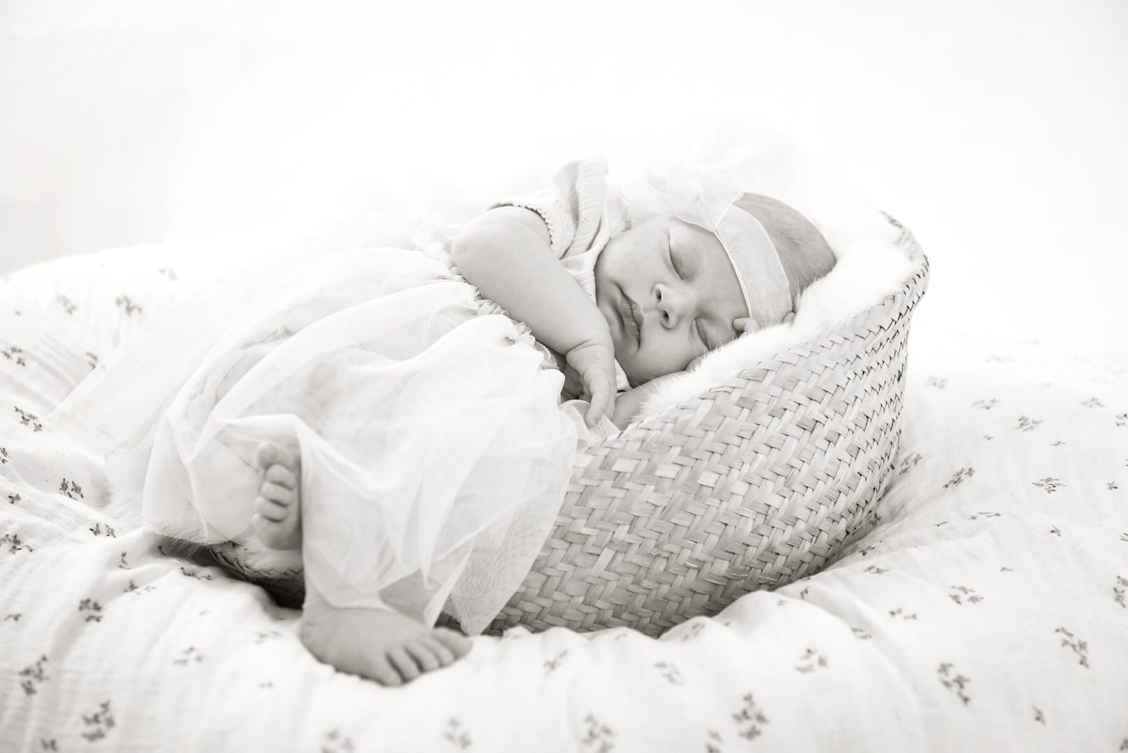 Photo Walli Babyfotos